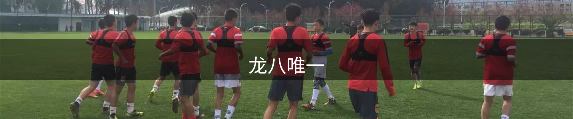 龙八唯一